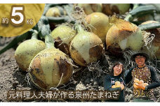 岸上農園　泉州玉ねぎ　約５kg（043_5001）