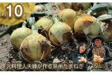 岸上農園　泉州玉ねぎ　約１０kg（043_5002）