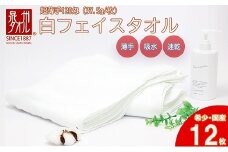 薄くて軽～い！日本製白フェイスタオル１２枚（TK206/120匁）（046_5001）