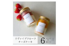 リヴァイブフルーツチーズケーキ　6個セット　オレンジ・苺【1670160】