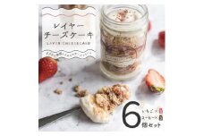 レイヤーチーズケーキ 6個セット【1499549】