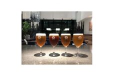 クラフトビール4 種飲み比べセット券 (クラフトビールの種類は時期によって異なります)【1517185】