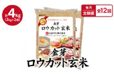 ＜毎月定期便＞金芽ロウカット玄米4kg(2kg×2袋)ふっくら柔らかい美味しさ!全12回【4056787】
