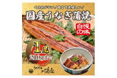 ＜冷凍1尾＞岬町自慢の味　うなぎの川島家　国産うなぎ蒲焼　中サイズ(195～210g)特製タレ付き【1488335】