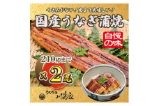 ＜冷凍2尾＞岬町自慢の味　うなぎの川島家　国産うなぎ蒲焼　中サイズ(195g～210g)特製タレ付き【1488337】