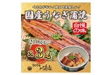 ＜冷凍3尾＞岬町自慢の味　うなぎの川島家　国産うなぎ蒲焼　中サイズ(195～210g)特製タレ付き【1488338】