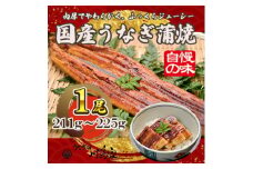 ＜冷凍1尾＞岬町自慢の味　うなぎの川島家　国産うなぎ蒲焼　大サイズ(211g～225g)特製タレ付き【1488339】
