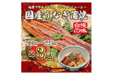 ＜冷凍3尾＞岬町自慢の味　うなぎの川島家　国産うなぎ蒲焼　大サイズ(211g～225g)特製タレ付き【1488341】