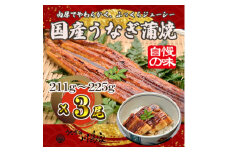 ＜冷凍3尾＞岬町自慢の味　うなぎの川島家　国産うなぎ蒲焼　大サイズ(211g～225g)特製タレ付き【1488341】