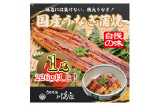＜冷凍1尾＞岬町自慢の味　うなぎの川島家　国産うなぎ蒲焼　特大サイズ(226g以上)特製タレ付き【1488342】