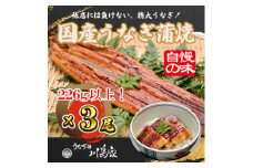 ＜冷凍3尾＞岬町自慢の味　うなぎの川島家　国産うなぎ蒲焼　特大サイズ(226g以上)特製タレ付き【1488346】