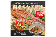 ＜冷凍2尾＞岬町自慢の味　うなぎの川島家　国産うなぎ蒲焼　特大サイズ(226g以上)特製タレ付き【1488344】