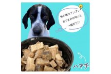 ハマチップス　50g×1袋【1494283】