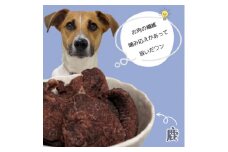 ＜1袋＞犬用鹿詰合せ100g×1　グルテンフリー&添加物不使用　アレルギーにお悩みの愛犬に【1496467】