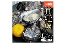 ＜Lサイズ10個入り:約80～61g/個＞加熱用真牡蠣　深日オイスターファーム直送　専用ナイフ付き　【1570780】