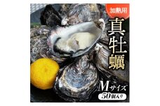 ＜Mサイズ50個入り:約60～41g/個＞加熱用真牡蠣　深日オイスターファーム直送　専用ナイフ付き　【1570862】