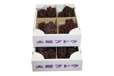 No.082 デラウェア（ぶどう） ／ 葡萄 ブドウ エコロジー 大阪エコ農産物 大阪府 特産品