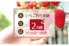 No.250 「あ・な・ば」かなんでいちご狩り体験　ペア券 ／ チケット 苺 イチゴ狩り 食べ放題 大阪府