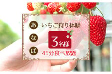 No.251 「あ・な・ば」かなんでいちご狩り体験　トリオ券 ／ チケット 苺 イチゴ狩り 食べ放題 大阪府