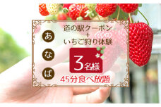 No.254 「あ・な・ば」かなんでいちご狩り体験　トリオ券と道の駅クーポンセット ／ チケット 苺 イチゴ狩り 食べ放題 大阪府