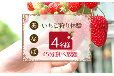 No.252 「あ・な・ば」かなんでいちご狩り体験　ファミリー券 ／ チケット 苺 イチゴ狩り 食べ放題 大阪府