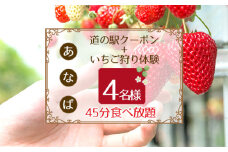 No.255 「あ・な・ば」かなんでいちご狩り体験　ファミリー券と道の駅クーポンセット ／ チケット 苺 イチゴ狩り 食べ放題 大阪府
