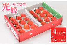No.270 光姫（イチゴ）約1.2kg～約1.4kg（4パック） ／ 苺 いちご 果物 大阪府