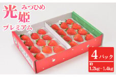 No.272 光姫プレミアム（イチゴ）約1.2kg～約1.4kg（4パック） ／ 苺 いちご 果物 大阪府