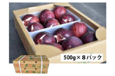No.281 朝採りいちじく4kg ／ 無花果 果物 大阪府