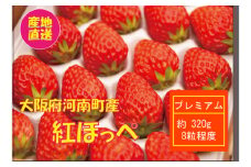 No.304 【紅ほっぺ】プレミアムいちご ／ 果物 苺 イチゴ 大阪府 特産品