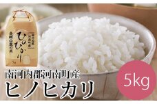 No.315 南河内郡河南町産ヒノヒカリ ／ 米 白米 ひのひかり 大阪府 特産品