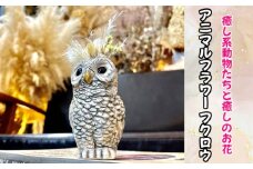 No.322 アニマルフラワー（フクロウ） ／ インテリア ドライフラワー 置物 癒し 大阪府 特産品