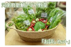 No.331 河南町新鮮アジア野菜「お試しセット」 ／ 唐辛子 パクチー バジル 大阪府