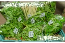 No.332 河南町新鮮アジア野菜「お手軽セット」 ／ 唐辛子 パクチー バジル 大阪府