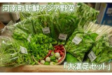 No.334 河南町新鮮アジア野菜「大満足セット」 ／ 唐辛子 パクチー バジル 大阪府