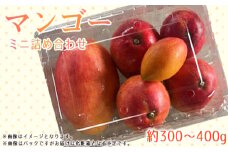No.369 名もなきマンゴーミニ詰め合わせ約300～400g　大きさ不揃い ／ 果物 フルーツ 詰合せ 満足 大阪府