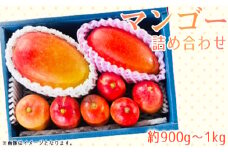 No.374 名もなきマンゴー詰め合わせ約900g～1kg　大きさ不揃い ／ 果物 フルーツ 詰合せ 満足 大阪府