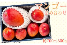 No.372 名もなきマンゴー詰め合わせ約700～800g　大きさ不揃い ／ 果物 フルーツ 詰合せ 満足 大阪府