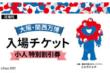 No.379 2025年日本国際博覧会入場チケット 特別割引券（小人）【河南町返礼品】 ／ 万博 EXPO 2025 大阪万博 関西万博 夢洲 入場券 大阪府