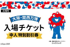 No.382 2025年日本国際博覧会入場チケット 特別割引券（中人）【河南町返礼品】 ／ 万博 EXPO 2025 大阪万博 関西万博 夢洲 入場券 大阪府