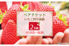 No.395 苺狩り　ペアチケット ／ いちご イチゴ うま味 コク 紅ほっぺ 星の煌めき おいCベリー 宝交早生 果物 フルーツ 券 大阪府