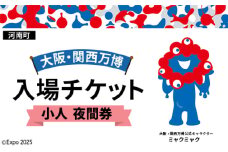 No.378 2025年日本国際博覧会入場チケット 夜間券（小人）【河南町返礼品】 ／ 万博 EXPO 2025 大阪万博 関西万博 夢洲 入場券 大阪府