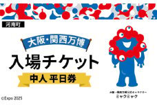 No.383 2025年日本国際博覧会入場チケット 平日券（中人）【河南町返礼品】 ／ 万博 EXPO 2025 大阪万博 関西万博 夢洲 入場券 大阪府
