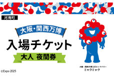 No.384 2025年日本国際博覧会入場チケット 夜間券（大人）【河南町返礼品】 ／ 万博 EXPO 2025 大阪万博 関西万博 夢洲 入場券 大阪府