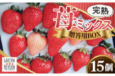 No.399 完熟苺ミックス15粒贈答用BOX ／ 厳選 大粒 イチゴ いちご 果物 フルーツ 大阪府 特産品