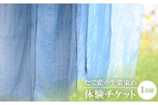 たで藍の生葉染め　体験チケット　一名様【1273175】