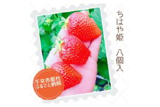 ＜大阪千早赤阪村＞特産品「ちはや姫」が返礼品として登場!一度食べたらリピート率が高いいちご8個入り【1445377】