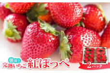 朝採り完熟いちご　ファームランドふくなが直売所の紅ぽっぺ(6～8個/1パック)×2【1582322】