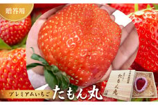 《数量限定》贈答用プレミアムいちご「たもん丸」1個入り(60g以上)ひのきの木箱入れてお届けします。【1176755】