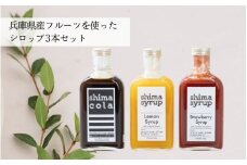 兵庫県産フルーツを使ったシロップ3本セット